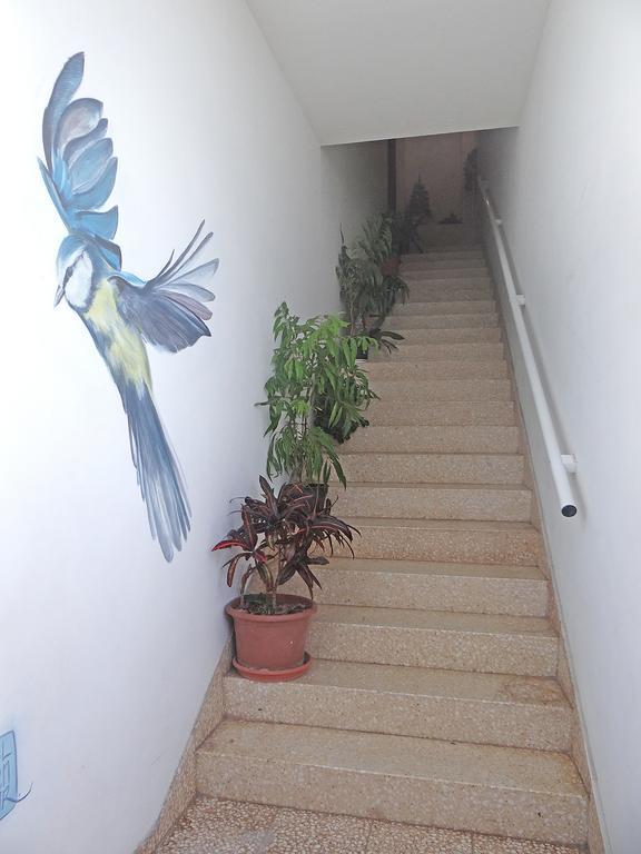 Apartamentos Dominguez Calera Extérieur photo